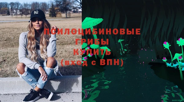 ешки Абинск