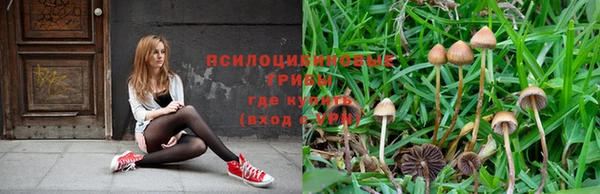 ешки Абинск