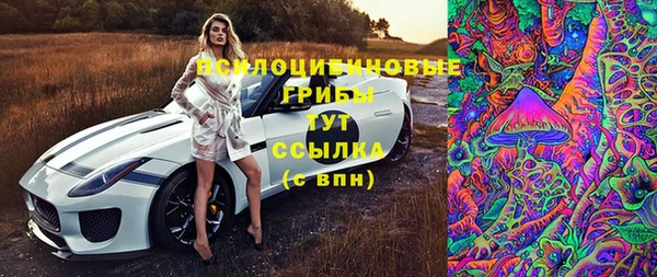 ешки Абинск