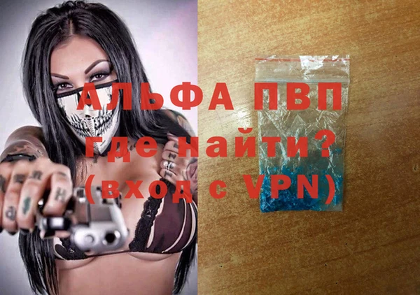 стафф Алзамай