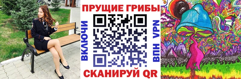 где купить наркоту  Опочка  Псилоцибиновые грибы мухоморы 